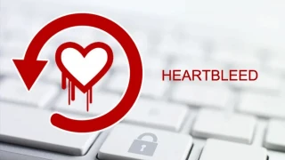 Qué es Heartbleed, como afecta a los usuarios y como prevenirse